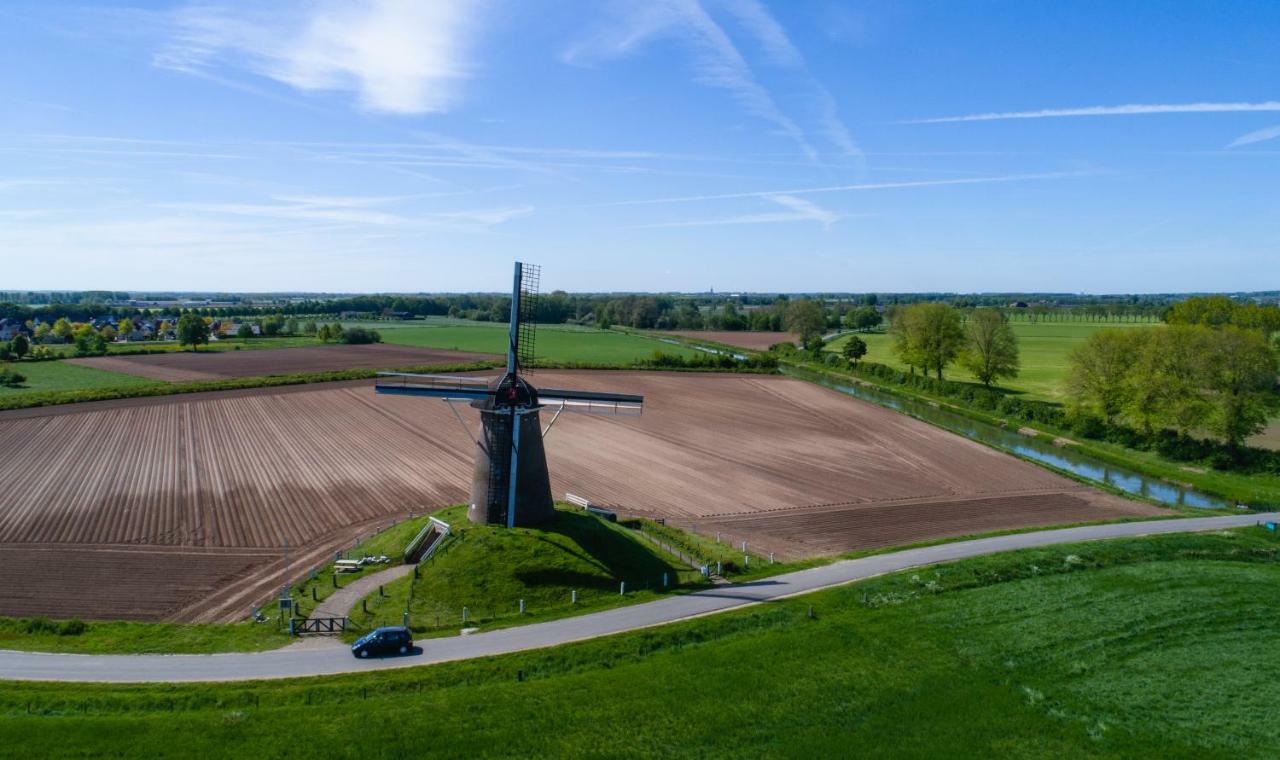 Herberg De Gouden Leeuw برونخورست المظهر الخارجي الصورة